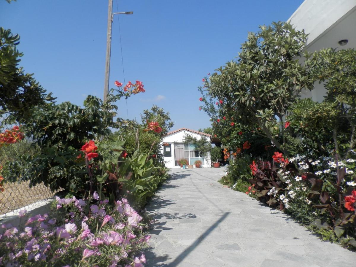Silvi Mari Apartments Platanes  Ngoại thất bức ảnh