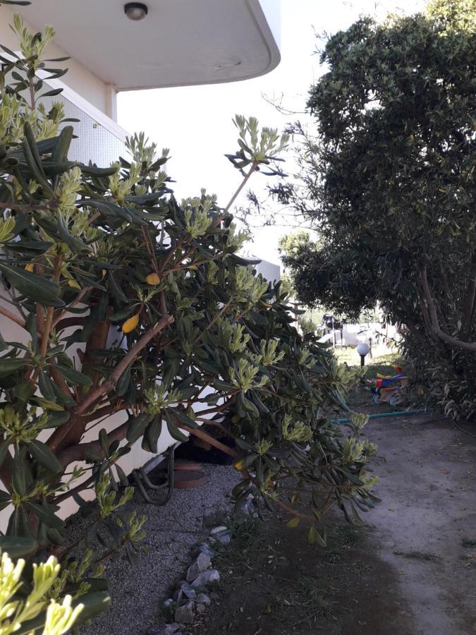 Silvi Mari Apartments Platanes  Ngoại thất bức ảnh