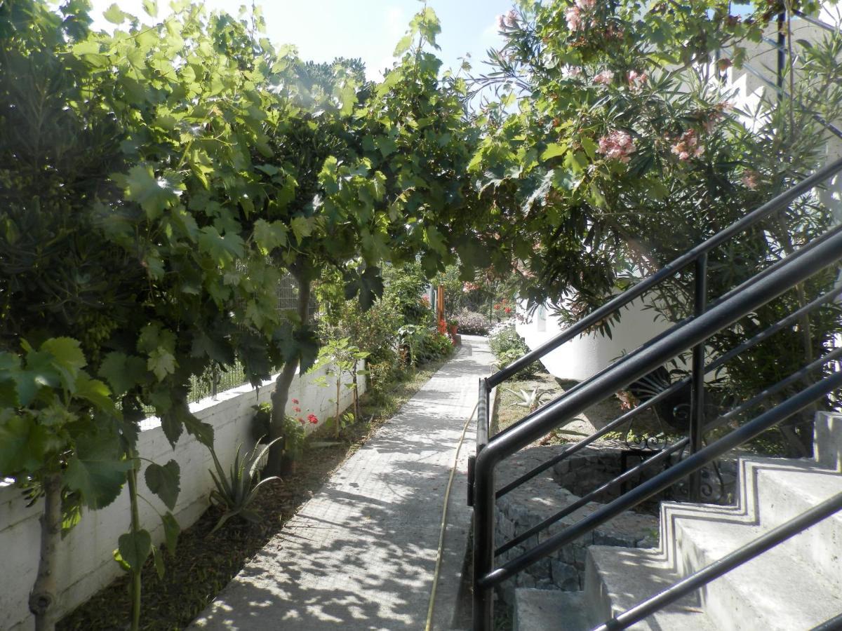 Silvi Mari Apartments Platanes  Ngoại thất bức ảnh